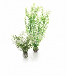 Aquariumtoebehorenwinterbloemset2biOrb-Biorb