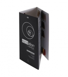 Lisapescalation-now-color-kleurenkaart-