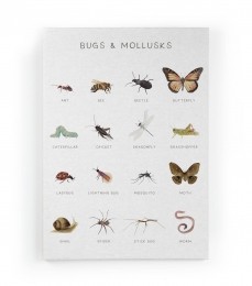 WanddecoratieInsectsReallyNiceThings