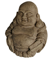 Superfishzendecolaughingbuddha-Superfish