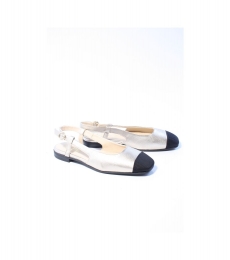 AlpeDamesslingbackbrons36