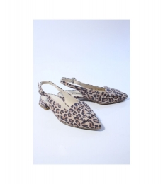 PaulGreenDamesslingbackbruin4