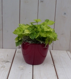Kindjeopmoedersschootinrodepot25cm-Warentuinnatuurlijk