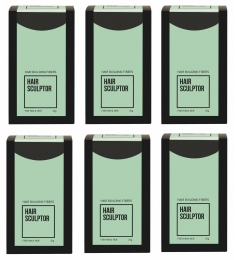 HairSculptorHairBuildingZwartFibres6StuksVOORDEELPAKKET