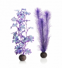 AquariumtoebehorenzeewiersetmediumpaarsbiOrb-Biorb