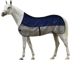 Verzorgingvanpaarden