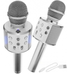 DraadlozeKaraokeMicrofoonDraadloosmetSpeakerBluetoothZilverZilver