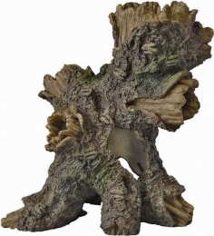 DecoTreeXsaquariaSuperfish-Superfish