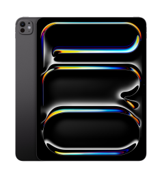 AppleiPadPro132024256GBzwart