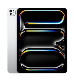AppleiPadPro132024256GBzilver