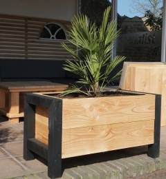 DouglasplantenbakJade