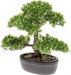Bonsai4-Driesprongcollection