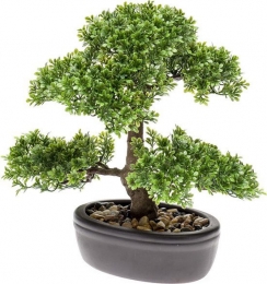 Bonsai4-Driesprongcollection