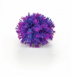 Decobolpaars-Biorb