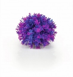 Decobolpaars-Biorb