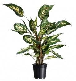 Containerzwart22lH154xdia17cmseta4stuksNature-Nature