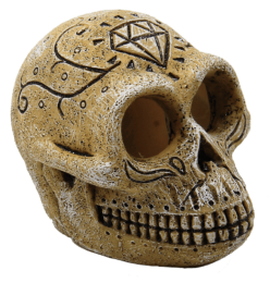 Superfishskullmonkey-Superfish