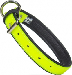 OutletJulius-K9Luminohondenhalsband-60cm