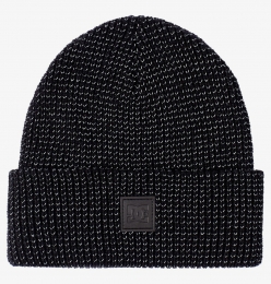 DCShoesSightBeanie