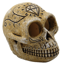 SkullMonkeyaquariaSuperfish-Superfish