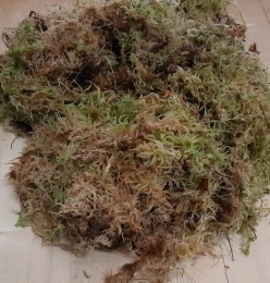 Sphagnummosinbakjezakjeloscirca3liter-Warentuinnatuurlijk