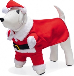 BZHONDENKERSTMANPAK36