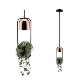 PaulmannhanglampFanjametplantenbak