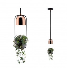 PaulmannhanglampFanjametplantenbak