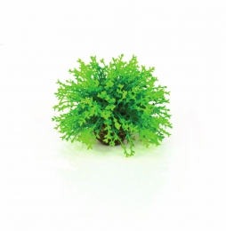 AquariumtoebehorendecobolgroenbiOrb-Biorb