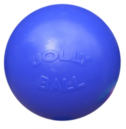 JollyBallPush-n-Play25cmblauw
