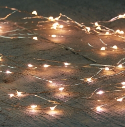 LEDcascadezilverdraad100l10x1mwarmwitAnnasCollectionCONNECT-Annascollection