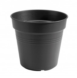 BloempotGreenbasicskweekpot15cmlivingblack-Elho