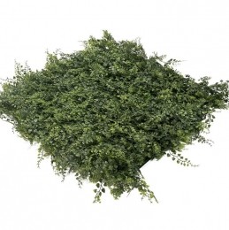 EasyLawnGrassKunstplantenmatwandplantkunststofFern1m2-Easylawngrass