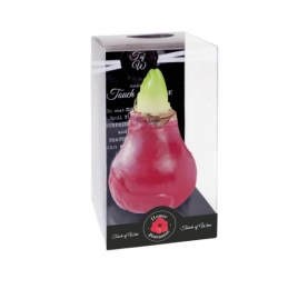 BloembolRodeAmaryllisWaxkaarsvetGlossRoodMaatSKebolWarentuinNatuurlijk-Warentuinnatuurlijk