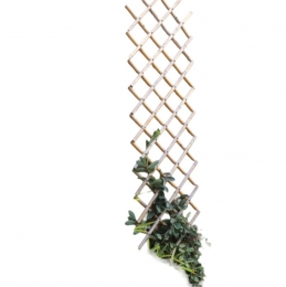 Bamboeklimrek70x180cmNature-Nature