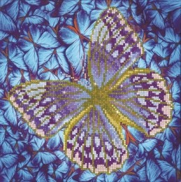 DiamondDotz-30x30cm-vlinder