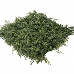 EasyLawnGrassKunstplantenmatwandplantkunststofFern1m2-Easylawngrass