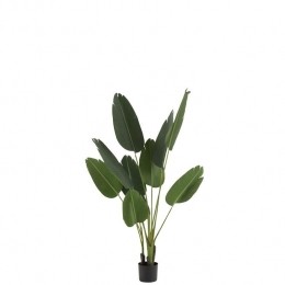 J-LineplantStrelitzia-kunststof-groen-small