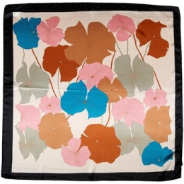 SjaalV1969CarrZijdeBigflow