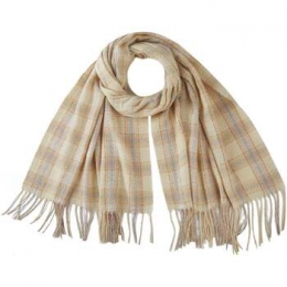 SjaalV1969STELLAsjaal