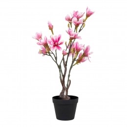 KunstMagnolieHouseNordic
