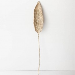 DecoratiePlantaDePraiaUrbanNatureCulture