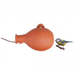 Vogelpotkruikmezenenmussen-Bestforbirds