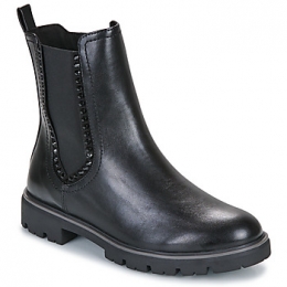 LaarzenMarcoTozziEVOC