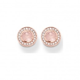 ThomasSaboOorknopjesSCH150032