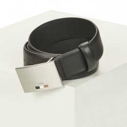 RiemBOSSStrom-Icon-EnSz35