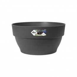 Vibiacampanabowl27anthra-Elho