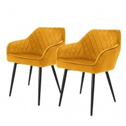 Setvan2eetkamerstoelenAminovelvetML-Design
