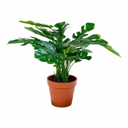 KunstplantMonsteraHouseNordic