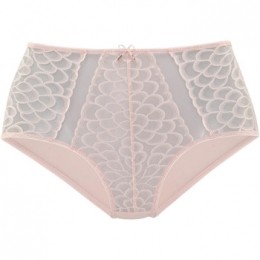 SlipsLascanaSlipjemethogetailleCamillaroze